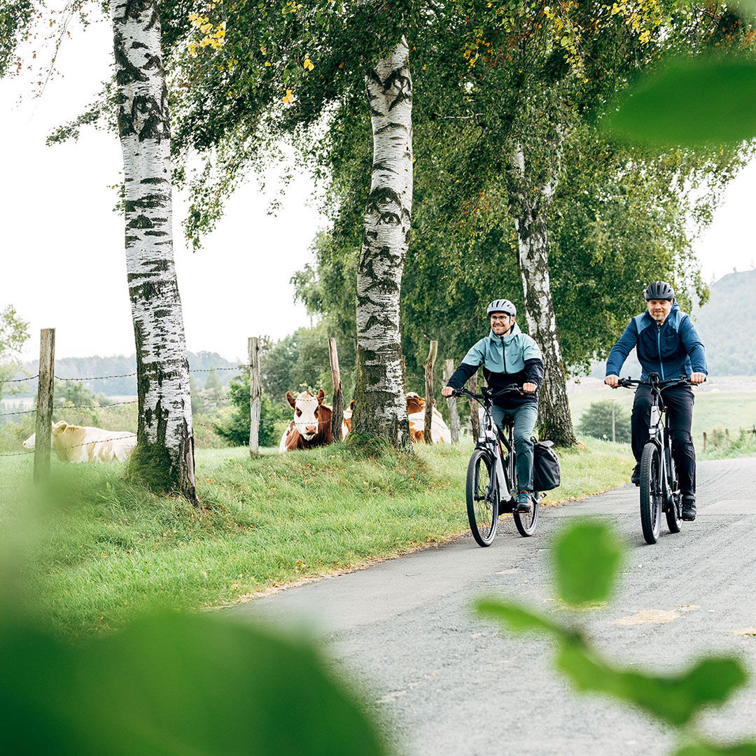 Die Fahrt zum Diemelsee im Sauerland ist eine wunderschöne Radtour in NRW