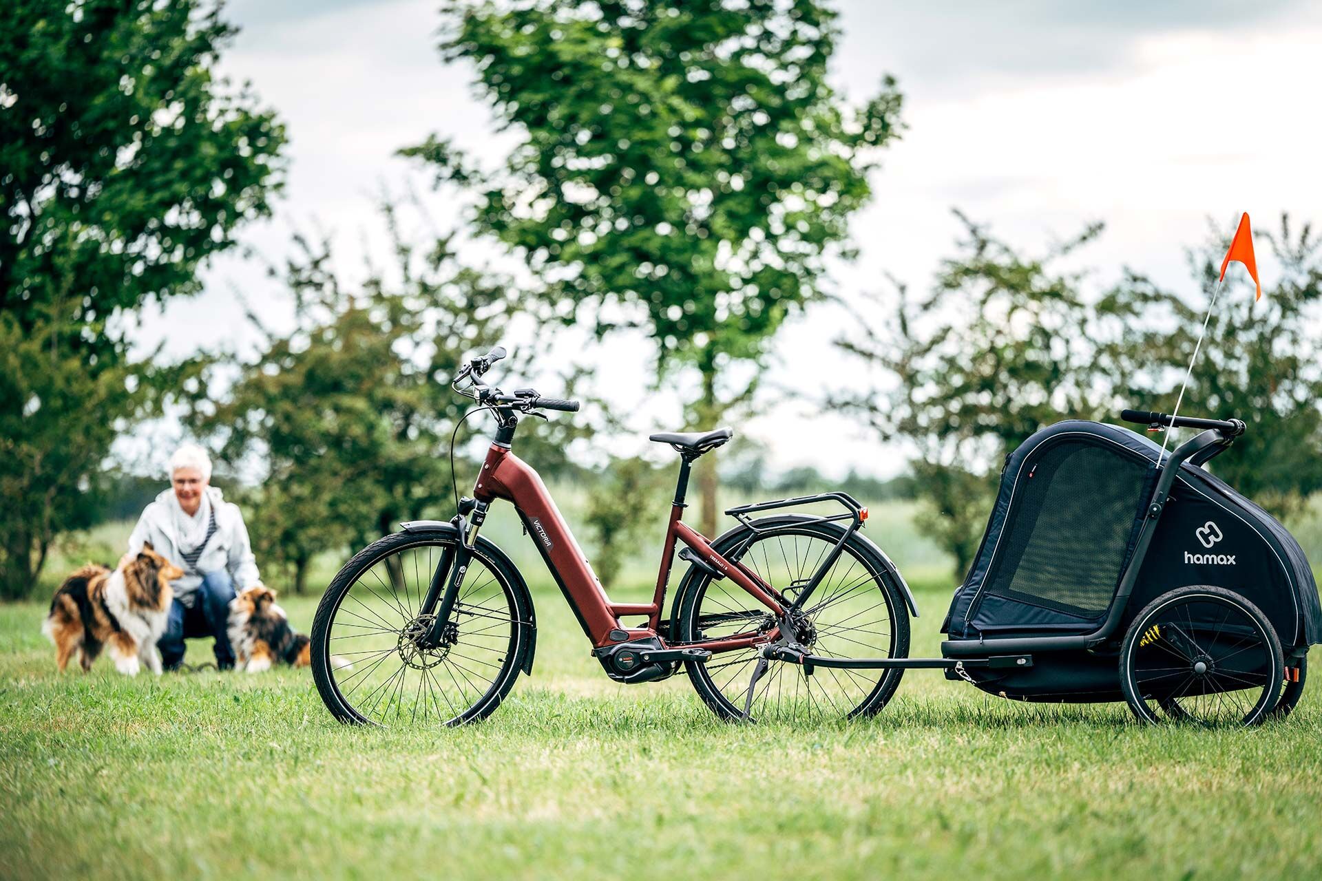 Ein E-Bike mit Hundeanhänger auf einer Wiese, im Hintergrund streichelt eine Frau zwei Hunde.