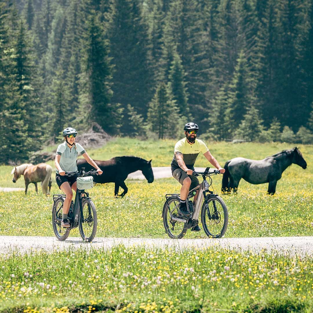 Un couple passe devant un paddock à vélo électrique SUV.