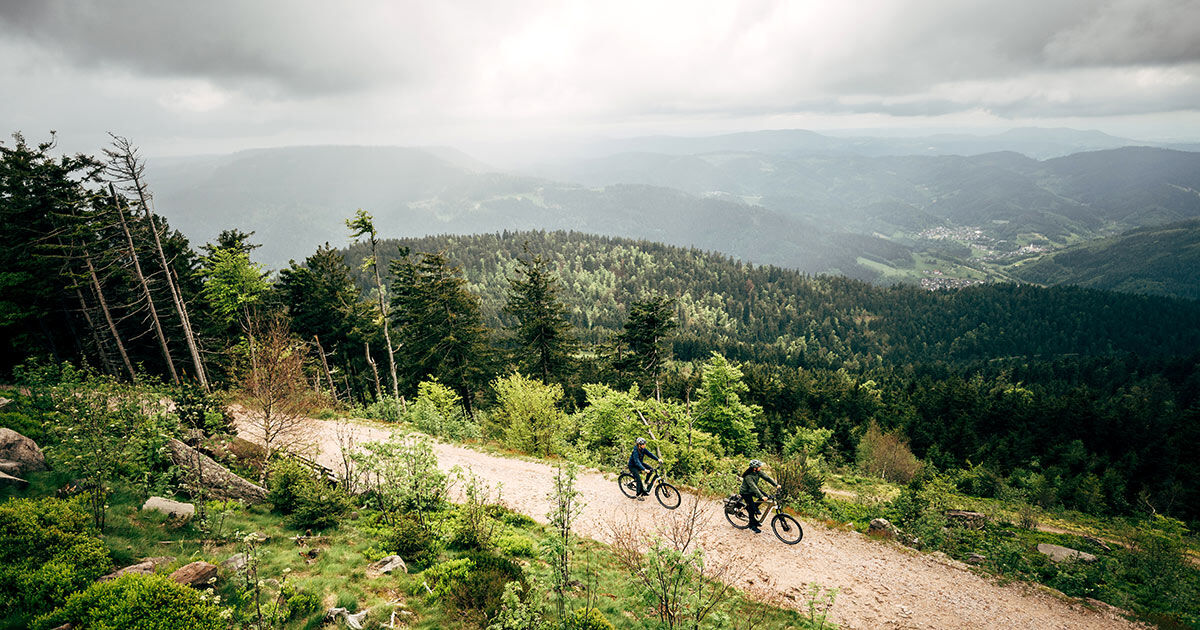 Randonn&eacute;es &agrave; v&eacute;lo &eacute;lectrique dans la For&ecirc;t-Noire - plaisir et bien-&ecirc;tre garantis