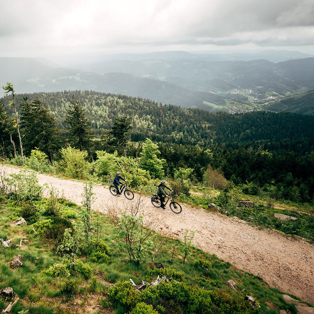 Randonn&eacute;es &agrave; v&eacute;lo &eacute;lectrique dans la For&ecirc;t-Noire - plaisir et bien-&ecirc;tre garantis