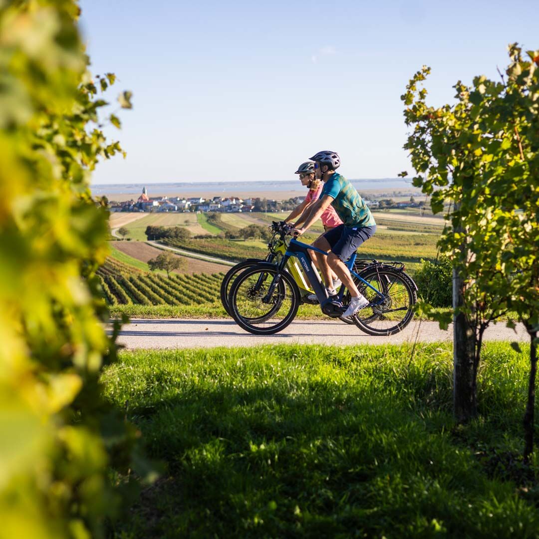 Radfahren am Neusiedler See – Radwege zwischen endlosen Weiten & sanften Weinbergen