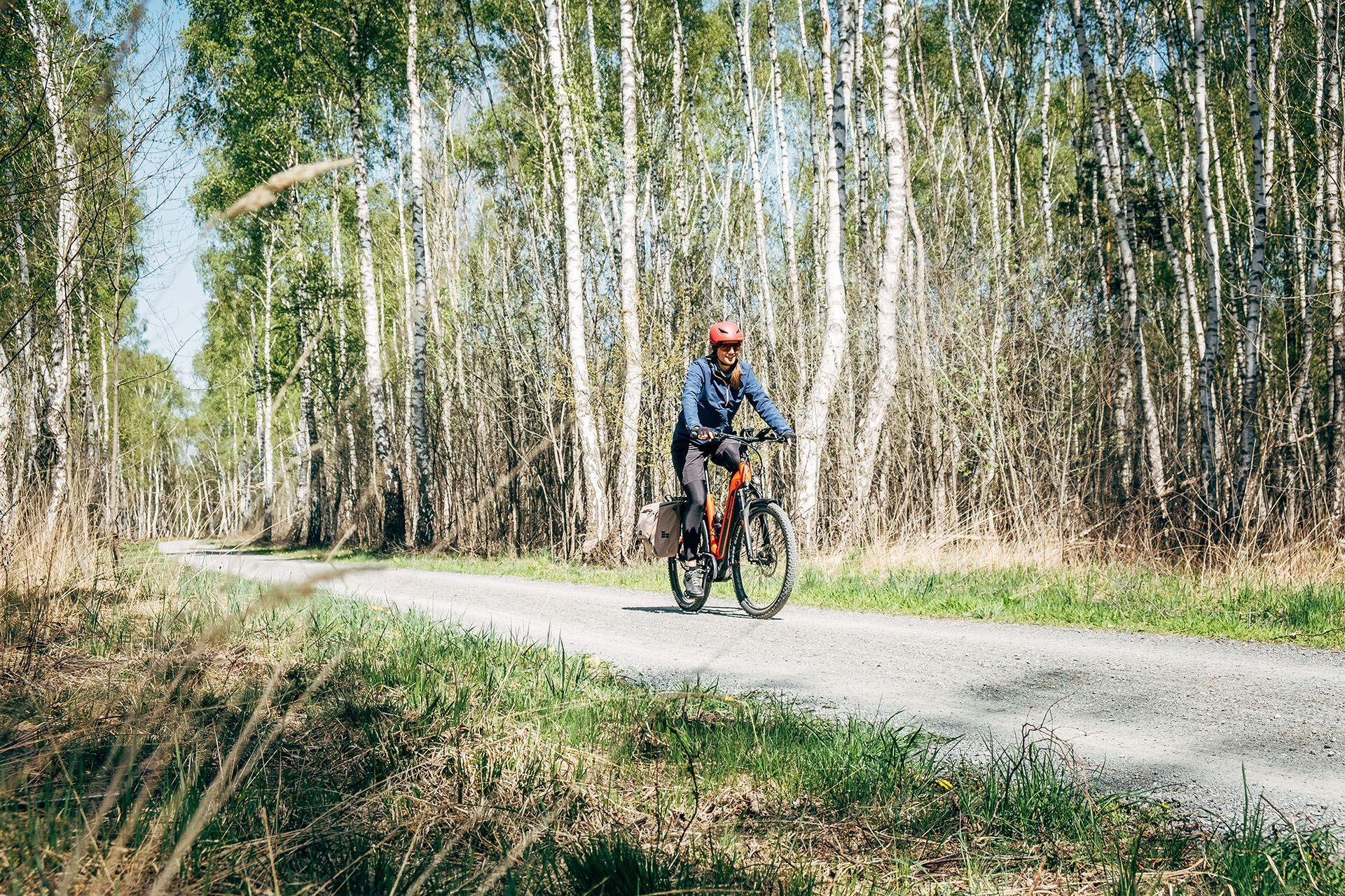 Steinhuder Meer's Cycle Path near Mardorf